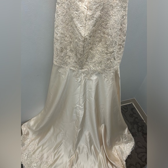 Champagne color gown with an Appliqué bodice, sweep train, scalloped bottom. - Picture 4 of 10